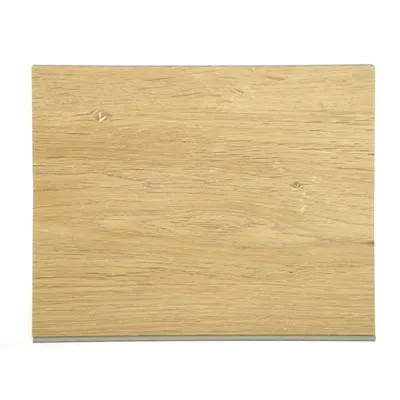 Péinteáil Bog le haghaidh Plaisteacha